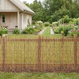  Vrtna Ograda Karbonizirano 300 x 100 cm Trska Cijene