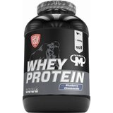 Mammut Whey Protein 3000 g - Blueberry Cheesecake | Shoptok.si