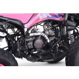Beneo Otroški štirikolesnik 125cc Motors ZXT roza | Shoptok.si