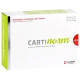 tablete za kosti i zglobove Cartinorm+D3 60/1