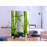 Artgeist PARAVAN 135/172/3 cm svetlo zelena, bela Slike