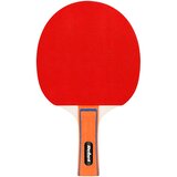 Rebel ACTIVE Set reketa za stoni tenis (pingpong) sa mrežicom, model RBA-4001 | Eponuda.com