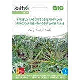 Sativa Cardy "Epineux argente de P.-Palais" Cene