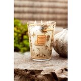Baobab Collection Tomorrowland dišeča sveča 24 cm | Shoptok.si