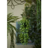 Emerald umjetni viseći grm ceropegije u posudi 50 cm
