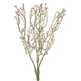 Dekordom Cvet star flower 44cm 92564-7 - pink - nnt ( 040076 ) Cene