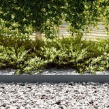  Ograda oko Travnjaka 10 pcs Antracit 100 x 0,05 x 15 cm | shoptok.hr