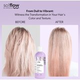 SoFlow Revitalizing Shampoo obnovitveni šampon za barvane lase 400 ml | Shoptok.si