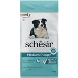 Schesir Dog Dry Medium Puppy s piletinom - 2 x 12 kg | shoptok.hr