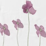 Olimp Sport Zavesa Edgar 145x245 cm lila vez | ePonuda.com