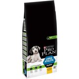 Pro Plan 5 x zooTočke na PURINA suho hrano za pse! - Large Athletic Puppy OPTISTART (12 kg) | Shoptok.si