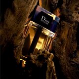 Christian Dior Dior Homme 2020 toaletna voda 150 ml za muškarce | shoptok.hr