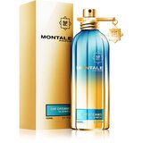 Montale Day Dreams parfemska voda uniseks 100 ml | shoptok.hr