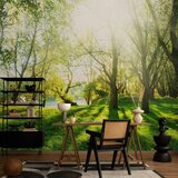  Foto tapeta - Sunny May Day 350x256 Standard | shoptok.hr