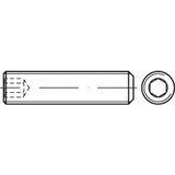 Toolcraft TO-5413587 navojni zatik M12 30 mm čelik galvansko pocinčani 100 St. | shoptok.hr