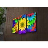 Wallity Set slika sa LED osvetljenjem 3PATİACT-6, 3 Dela | ePonuda.com