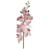  Cvet ORCHID 83cm 796074 - Pink - DCS Cene