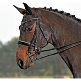Busse Dvojna uzda "LUXURY" črna/bela - Cob Cene