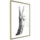 Poster - Peace 40x60 Cijene