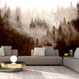  Tapeta - Mountain Forest (Sepia) 150x105 Cijene