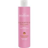 MaterNatura Šampon s vodenim ljiljanom Cijene