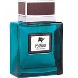 Pegasus pour homme edp 100ml muški parfem