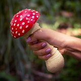  Antistres gljiva Muharka | shoptok.hr