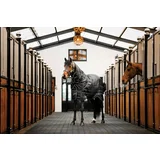 Pregrinjalo Horseware Easy-Layer Stable Plus Med 200g, Black/Black & Silver - 140 cm