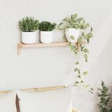  Polica za Ob hanging na Zidu Zidne Prirodna 62 x 10 x 12,5 cm | shoptok.hr