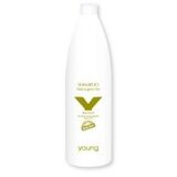  Šampon za obojenu kosu Young Organic Black & Green Tea – 1000 ml | Eponuda.ba