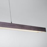 PAUL NEUHAUS 2568-24 - led prigušiva luster na sajli adriana LED/14W/230V | Eponuda.com