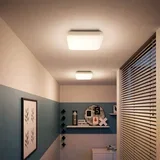 mauve plafonska svetiljka bela led 1x17W 2700K