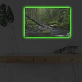 Wallity Slika sa LED osvetljenjem 4570DHDACT-003, 45x70 cm | ePonuda.com