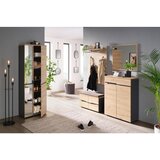 Mömax Garderobna Omara Memphis, Hrast, Temno Siva, Ogledalo | Shoptok.si