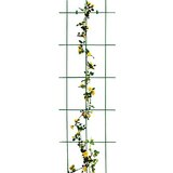 BELLISSA Opora za rastline (150 x 45 cm, zelena) Cene