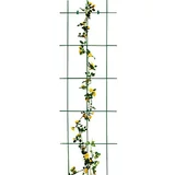 BELLISSA Potporanj za cvijeće (45 x 150 cm, Debljina materijala: 5 mm, Broj podupirača: 3, Zelene boje)