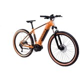 Capriolo Volta 9.4 E-bike 29'' bronzani (926800-16.5) | Eponuda.com