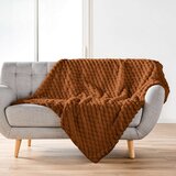 Douceur d intérieur Svetlo rjava odeja iz mikropliša 220x240 cm Frosty – | Shoptok.si