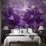  Foto tapeta - Masterpiece of Purple 500x350 | shoptok.hr