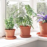  Kružni Pladanj za Cvijeće 6 pcs Crvena cigla Ø 14 x 2 cm | shoptok.hr