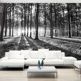  Samoljepljiva foto tapeta - Grey Wilderness 392x280 | shoptok.hr