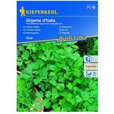 KIEPENKERL Sjeme začinskog bilja Peršin (Petroselinum crispum var. neapolitanum, Vrijeme sjetve: Ožujak, Berba: Lipanj) | shoptok.hr