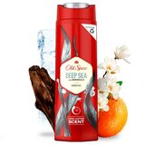 Old Spice Deep Sea gel za prhanje za moške 250 ml | Shoptok.si