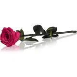 Fuchsia stabilizirana vrtnica na steblu 30 cm 1 kos