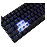 White Shark WS GK 005121 HAMACHI Black Mechanical RGB - US Cene