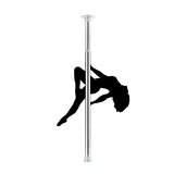 Ouch! Dance Pole Silver Cene