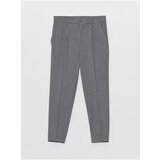 LC Waikiki Standard Fit Men's Trousers Cene