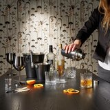 Bohemia Kozarec Za Viski Skye | Shoptok.si