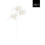 Mömax Okrasna Vejica Pampaška Trava | Shoptok.si