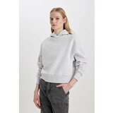 Defacto Boxy Fit Thick Hooded Sweatshirt cene